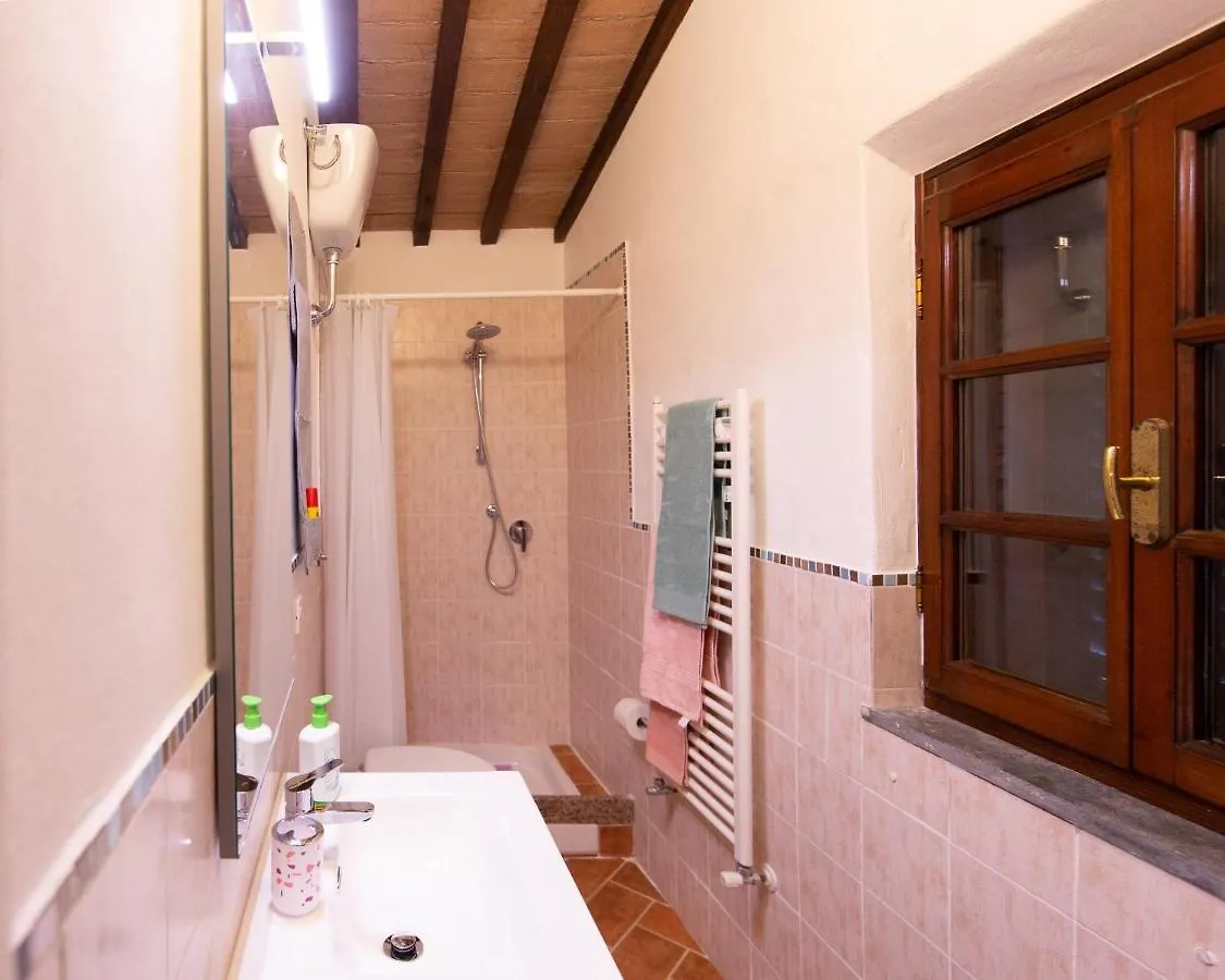Il Rustichello Apartment Pisa