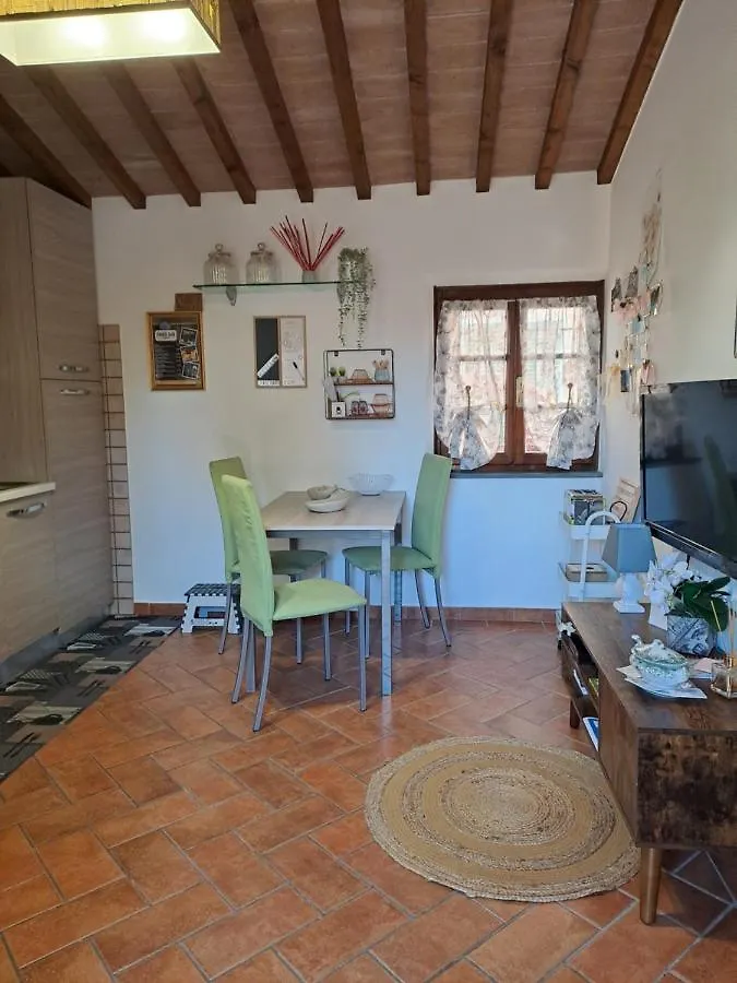 Il Rustichello Apartment Pisa